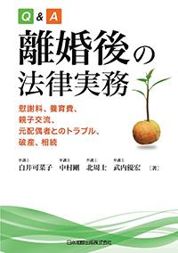 Q&A離婚後の法律実務
